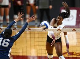 The Twin Cities’ have a new Major League Volleyball team. Meet the Minnesota Forge.