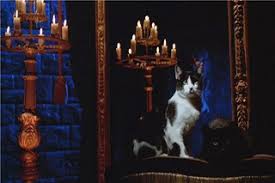 Inferno is dario argento's masterpiece. Inferno 1980 Film All The Tropes