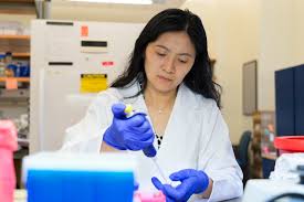 Research seminar series enhances community collaboration