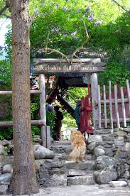 Image result for Autumn Buff 1983 Hussmann