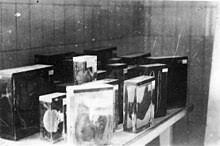 We did not find results for: Ilse Koch Wikipedia