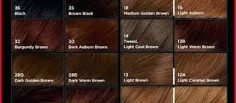 28 Albums Of Shades Of Brown Hair Color Chart Explore