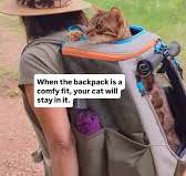 What to look for in a cat backpack?, After 3 years of hiking with different  backpacks, I’ve invested in The Navigator Earth Convertible Cat Backpack.,  Here’s why:, Fit, size and ventilation matters ...