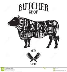 Butcher Cuts Scheme Of Beef Stock Vector Illustration Of