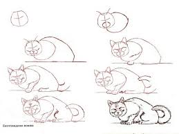 cat crouching illyustracii s zhivotnymi risunki zhivotnyh risovat zhivotnyh
