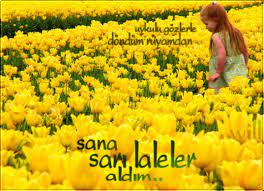 melekler korusun mfo sari laleler