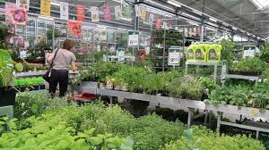 Coronavirus La Vente De Plants De Legumes Est Autorisee Dans La Vienne