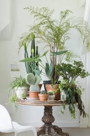 Looks Like They Took The Scalloped Edge From Under The Round Table Top And Placed It On Top As A Plant Table Edge So You Plants Indoor Plants Indoor Gardens