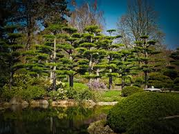 Le jardin japonais fascine par son équilibre, son harmonie et la sérénité qu'il dégage. Creer Un Jardin Zen Ou Jardin Japonais
