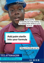 Boost Profits in Laundry Bar Soap Manufacturing