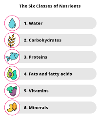 Alphabetize words, text, lists, and similar information. Basic Principles Of Nutrition Science Getsmarter Blog