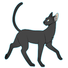 I think draw cats and draw warrior cats are my by the same company, they look the same, and all the wc lessons on draw cats are. How To Draw The Warrior Cats Drawing Tutorial Easy