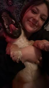 Horse Jobs in Hampton Roads