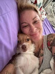 Lost dog near Yorktown apartments