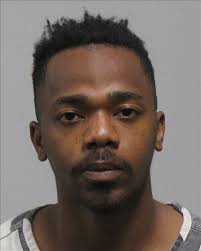 Emileigh Forrester TV