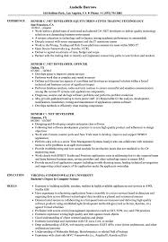 senior c, .net developer resume samples