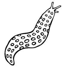 The air elemental slug is featured in the movie slugterra: Sea Animals Slimmy Sea Slug Sea Animals Free Coloring Page Slugs Online Coloring Pages Coloring Pages