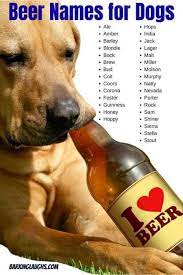 There are so many great sweet a few good pets is owned and operated by bright beans media, llc, an california limited liability company. 200 Food Names For Dogs And Alcohol Dog Names With Meanings 2021
