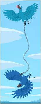 And the flowers and the trees. Chained Blu And Jewel In Rio By Thazumi On Deviantart