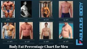 Can You Estimate My Body Fat Percentage From The Attached