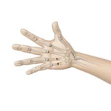 Image result for Hand Fracture