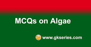 Algae Multiple Choice Questions Mcqs And Answers Algae Quiz In 2020 This Or That Questions Choice Questions Multiple Choice