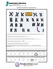 Amoeba sisters alleles and genes answer key. Karyotyping Answer Key Eamoeba Sisters E Videorecap Sex L Nked Traits I Amoeba Sisters Video Recap Sex Linked Traits Below Is A Picture Of A Human Course Hero