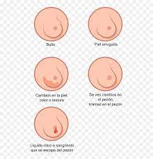 Check spelling or type a new query. Breast Cancer Illustration Es Face Powder Emoji Breast Cancer Emoji Free Transparent Emoji Emojipng Com