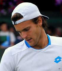 File:Joao Sousa (14629210874).jpg