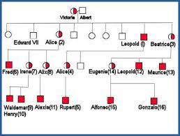 They trace both her maternal and paternal lineage, back several centuries, finding no reports of hemophilia. Haemophilia Queen Victoria Queen Victoria Descendants Royal Family Trees Queen Victoria