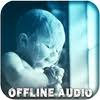 It leads you into worship and time spent with god, and offers prayers for you to follow along with. Christian Meditation Music For Android Apk Download