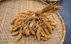 Welcome to the website xiaomi global community. å°ç±³ ç²Ÿç±³ å®‰çœ  æ˜Žé†«ç¶²