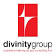 Divinity Group LLC logo
