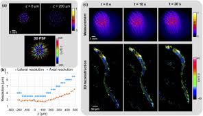From this circle, lay out cones in a v shape (see diagram below). Osa Fourier Diffuserscope Single Shot 3d Fourier Light Field Microscopy With A Diffuser