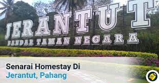 We did not find results for: Senarai Homestay Terbaik Jerantut C Letsgoholiday My