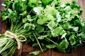 Coriander leaves are used in all sorts of cuisines, from latin american to asian. Why Does Cilantro Taste Like Soap To Some People Mental Floss