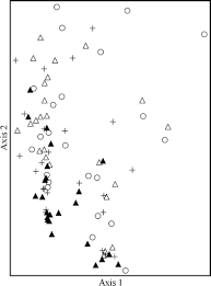 Image result for Neoboutonia macrocalyx