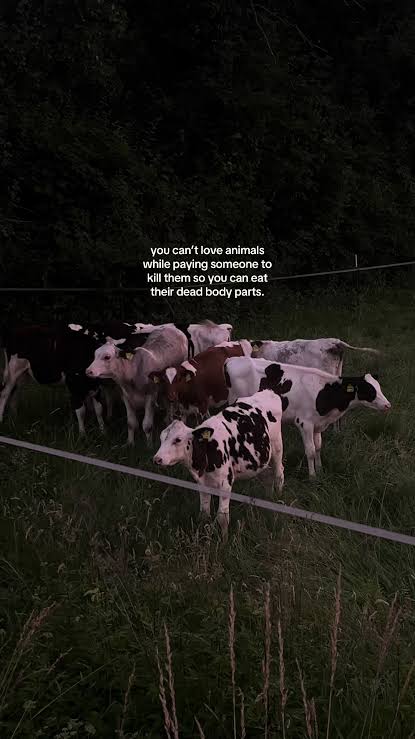 You Can’t Love Animals and Pay to Kill Them — Leave Them Alone