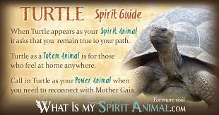 Turtle Symbolism Meaning Spirit Totem Power Animal Animal Totem Spirit Guides Turtle Symbolism Turtle Spirit Animal