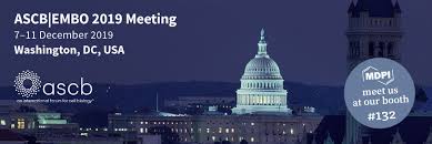 We did not find results for: Cells Announcements