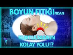 insan panosundaki pin