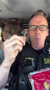 Not trying to start a war, but I’ve been told Tayto crisps from the  Republic of Ireland taste better than Tayto crisps from Northern Ireland_  Who am I to argue_ Thank you to Mary for the incredible ...