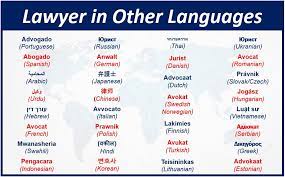 Mi familia política, en el pueblo natal de mi. What Is A Lawyer Definition And Examples Market Business News