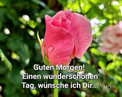 Guten Morgen Einen wunderschönen Tag wünsche ich Dirsexiezpix Web Porn