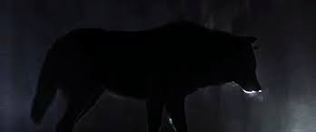 Don T Bite The Hand That Feeds You Gif Https Encrypted Tbn0 Gstatic Com Images Q Tbn 3aand9gcqrysg B9nbq5cazfjukfv90jojcd1ipjuyfg Usqp Cau