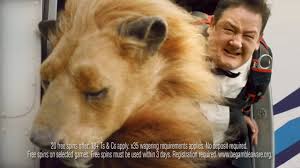 Join the pack and roar like a lion at leovegas! Leovegas Ad Youtube