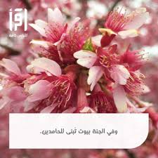 خواطر دينية قصيرة مزخرفة plants vegetables radish