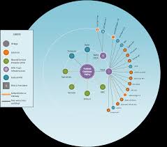 Certification Authorities Federal Public Key