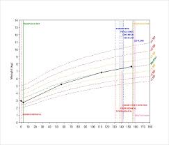 Baby Growth Chart Templates 12 Free Excel Pdf Documents