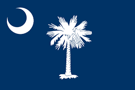 Start checking them out and you'll be out. South Carolina State Tattoo South Carolina Flag Tattoo